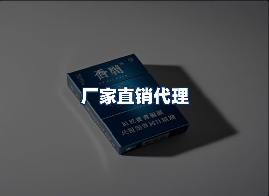 专业团队办公环境